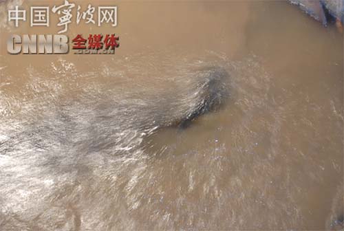 welcometo欢迎光临888集团(中国)有限公司