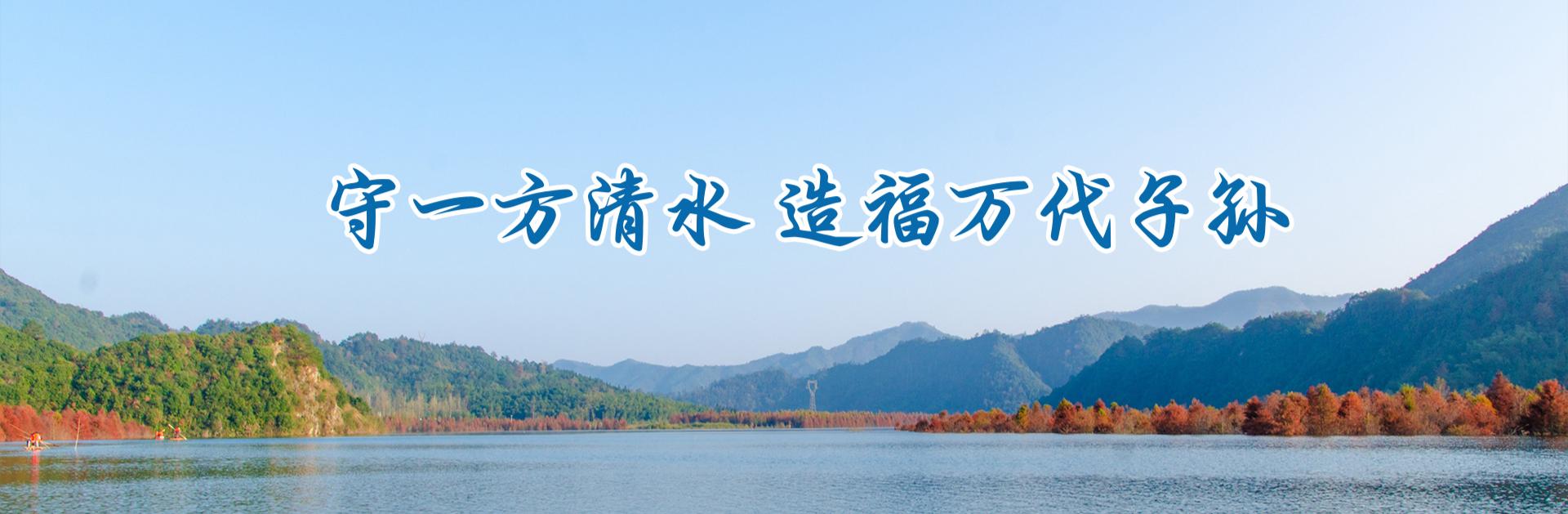 企业展示